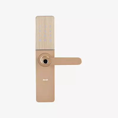 Digital Lock DG 102 MCM